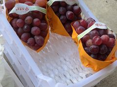 -马陆小张葡萄园农家乐