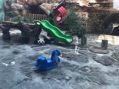 -石家庄市动物园