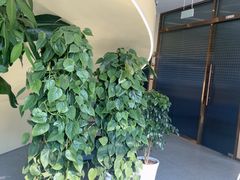 -七欣天香辣蟹火锅(南京桥北太平店)