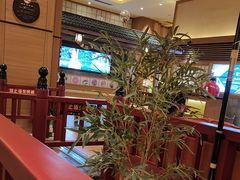 -大江户·温泉洗浴(浑南店)