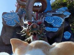 -宁波五龙潭景区