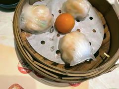 -点都德·毕德寮