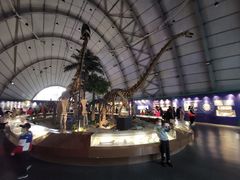 -辽宁古生物博物馆