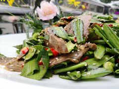 大香菜拌牛肉-云里小坐·小院里·团建·宴请·下午茶(三圣乡店)