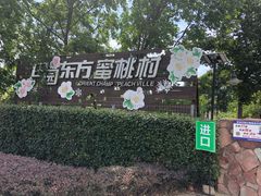 门面-田园东方蜜桃村的田野营地