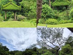 -云溪植物园