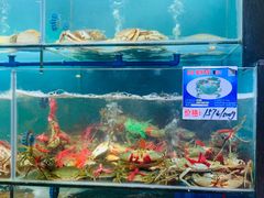 -南海渔家•海鲜•正宗海南菜(海棠湾店)