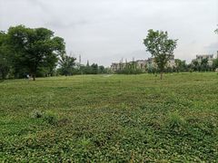 -两河城市森林公园