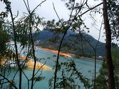 -广州市流溪河国家森林公园