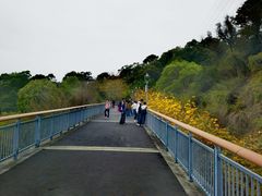 -金鸡山公园