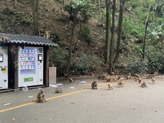 -黔灵山公园