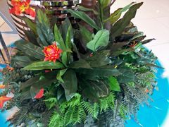 -南宫温泉水世界