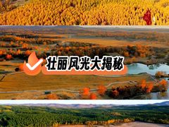 -塞罕坝国家级自然保护区