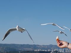 -海埂大坝
