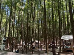 -山王坪喀斯特国家生态公园