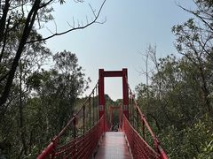 -上海吴淞炮台湾国家湿地公园