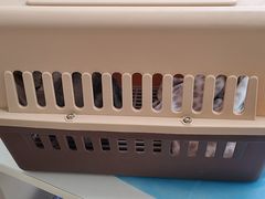 -北京观赏动物医院·24小时大型综合·猫专科·异宠专科