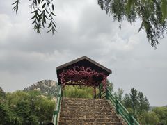-沂蒙云瀑洞天景区