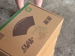 -马陆小张葡萄园农家乐