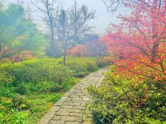 -苏州上方山国家森林公园