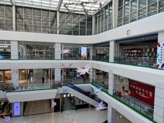 -肃宁华斯国际裘皮城