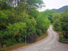 -西院1号(龙井店)