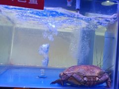 -小龍鳳·港式海鲜打边炉(沙湖路店)