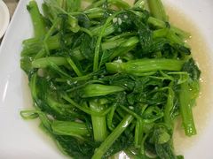 拌青菜-广达眼镜炖罐(广达店)