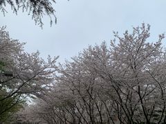 -白塘生态植物园