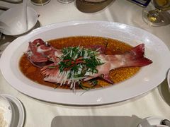 清蒸东星斑-皇朝会.经典传统粤菜(外滩店)