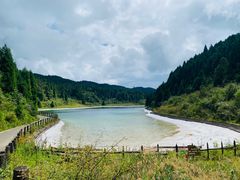 -武陵山森林公园