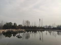 -西安浐灞国家湿地公园