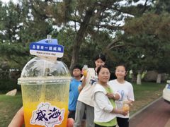 -林海公园