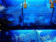 -三爷糟粕醋·鲜鱼汤·海南特色小吃(新华南路店)