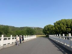 -羊山湖公园