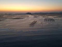 -北岐滩涂