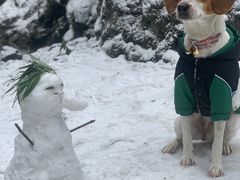 -西岭雪山大飞水景区