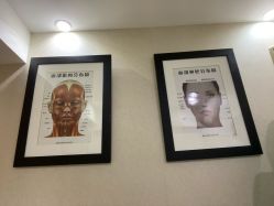 -熙朵美学植发连锁