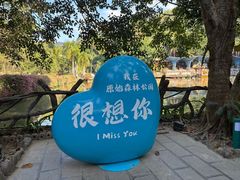 -西双版纳原始森林公园