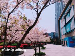 -绿地风尚天地广场