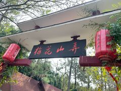 -南京市溧水区傅家边梅花山弄山庄