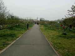 -白鹭湾湿地公园