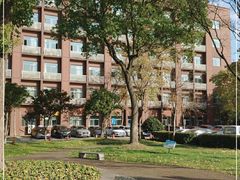 -上海市松江区泗泾医院