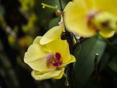 -人民公园(罗湖区)