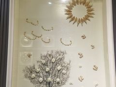 -青岛贝壳博物馆