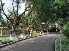 -东风公园