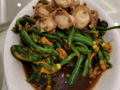 扇贝拌黄瓜花-新洪记·丽久饭店(铁西店)