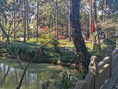 -汇龙潭