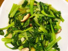 -姐妹食尚朴宿