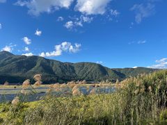 -腾冲北海湿地